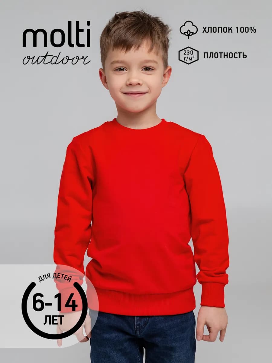 Толстовка спортивная свитшот