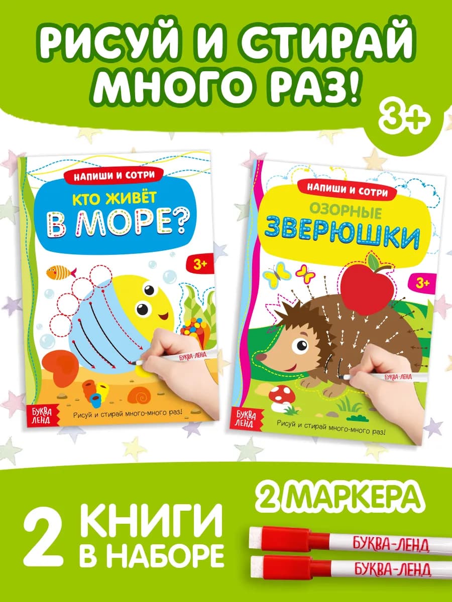 Набор книг Пиши стирай Развиваем моторику 2 шт