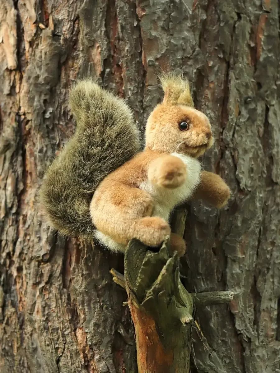 Маленькая мягкая игрушка Белка, 16 см