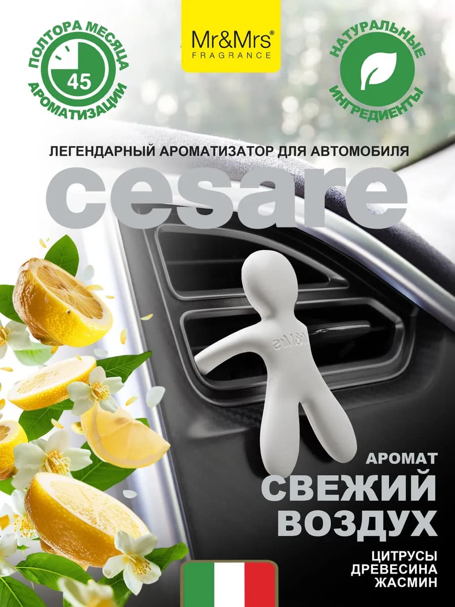 Ароматизатор в машину Cesare Свежий воздух Fresh Air - фото 1