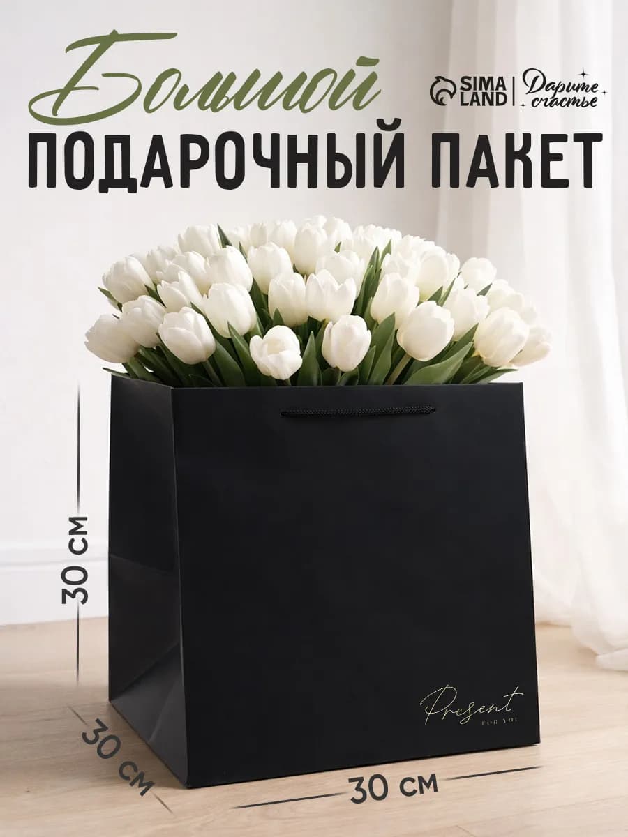 Большой подарочный пакет для упаковки подарка