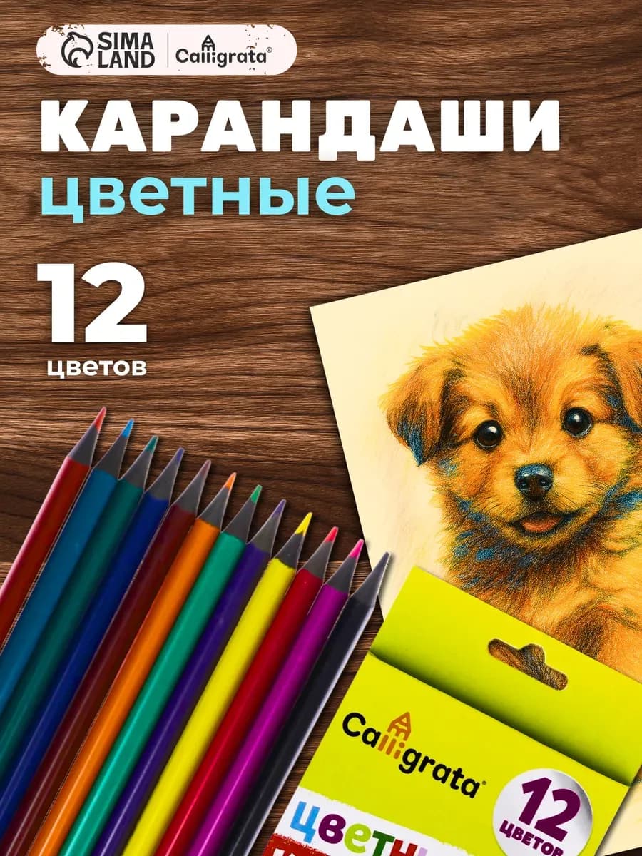 Карандаши цветные, 12 цветов