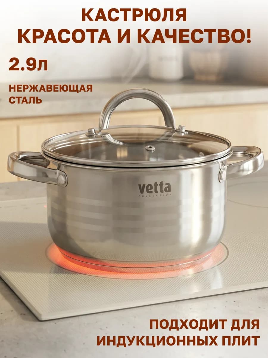 Кастрюля из нержавеющей стали 2.9 л