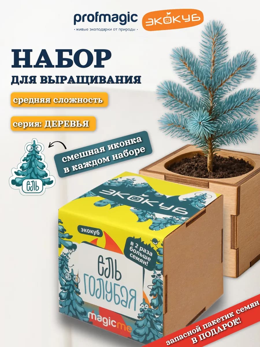 Набор для выращивания Экокуб Голубая Ель