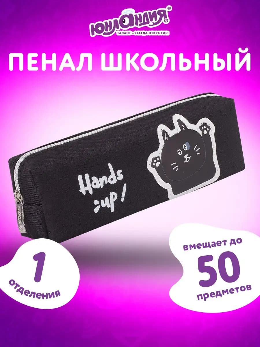 Пенал 1 отделение, полиэстер, Сat, черный, 19х4х6 см