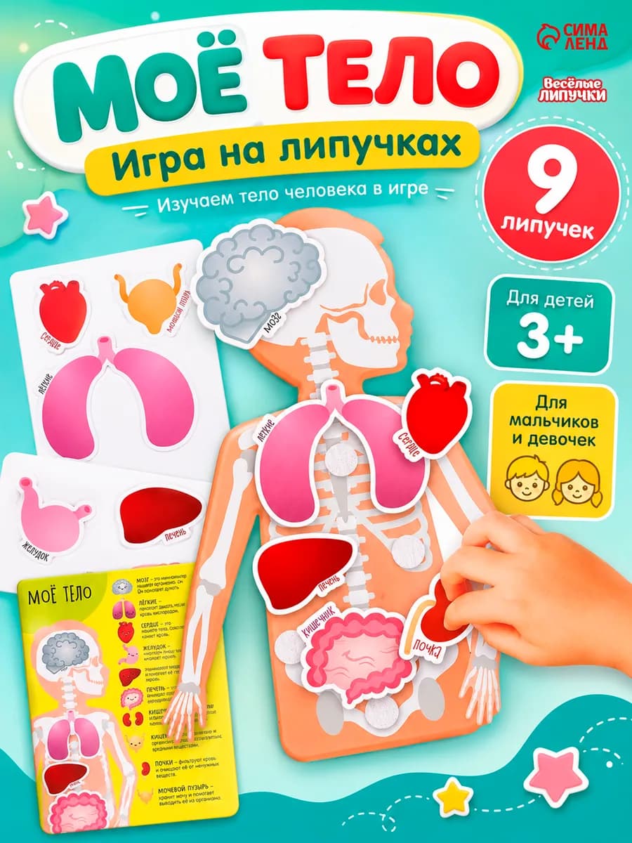 Развивающая игра детская на липучках Моё тело анатомия