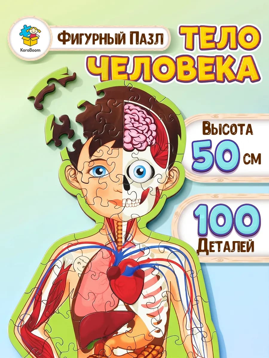 Фигурный пазл - головоломка Строение тела человека, анатомия