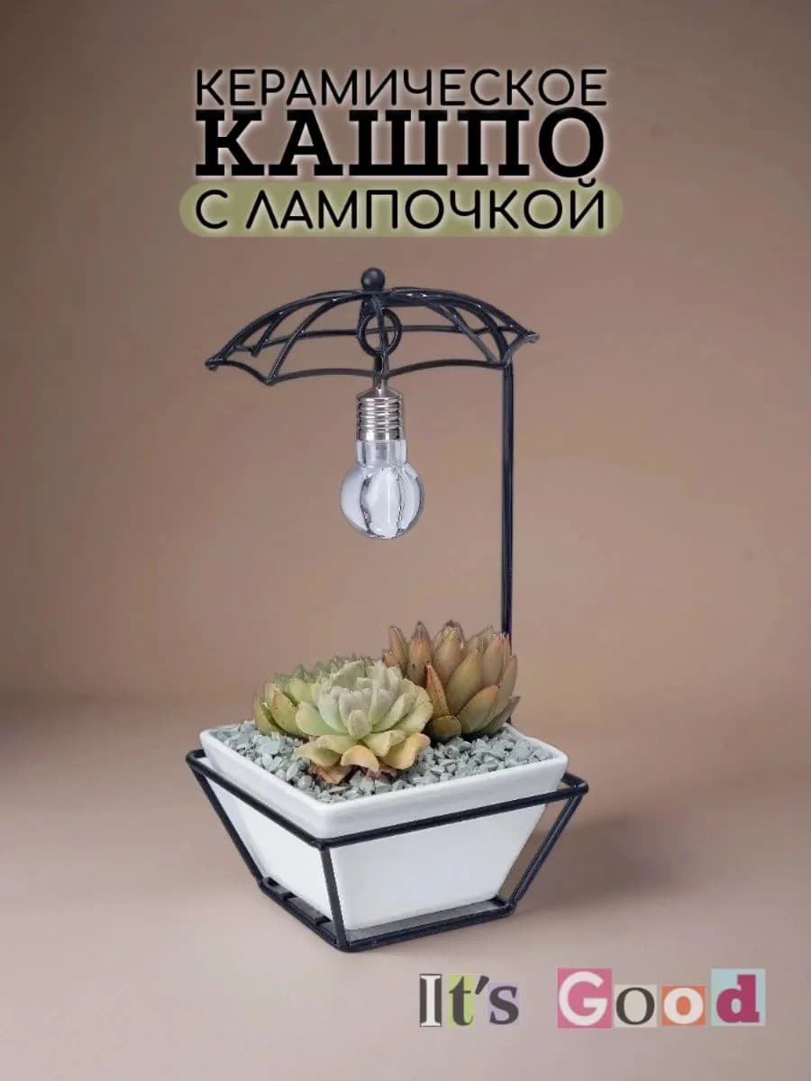 Кашпо ночник для суккулентов и кактусов