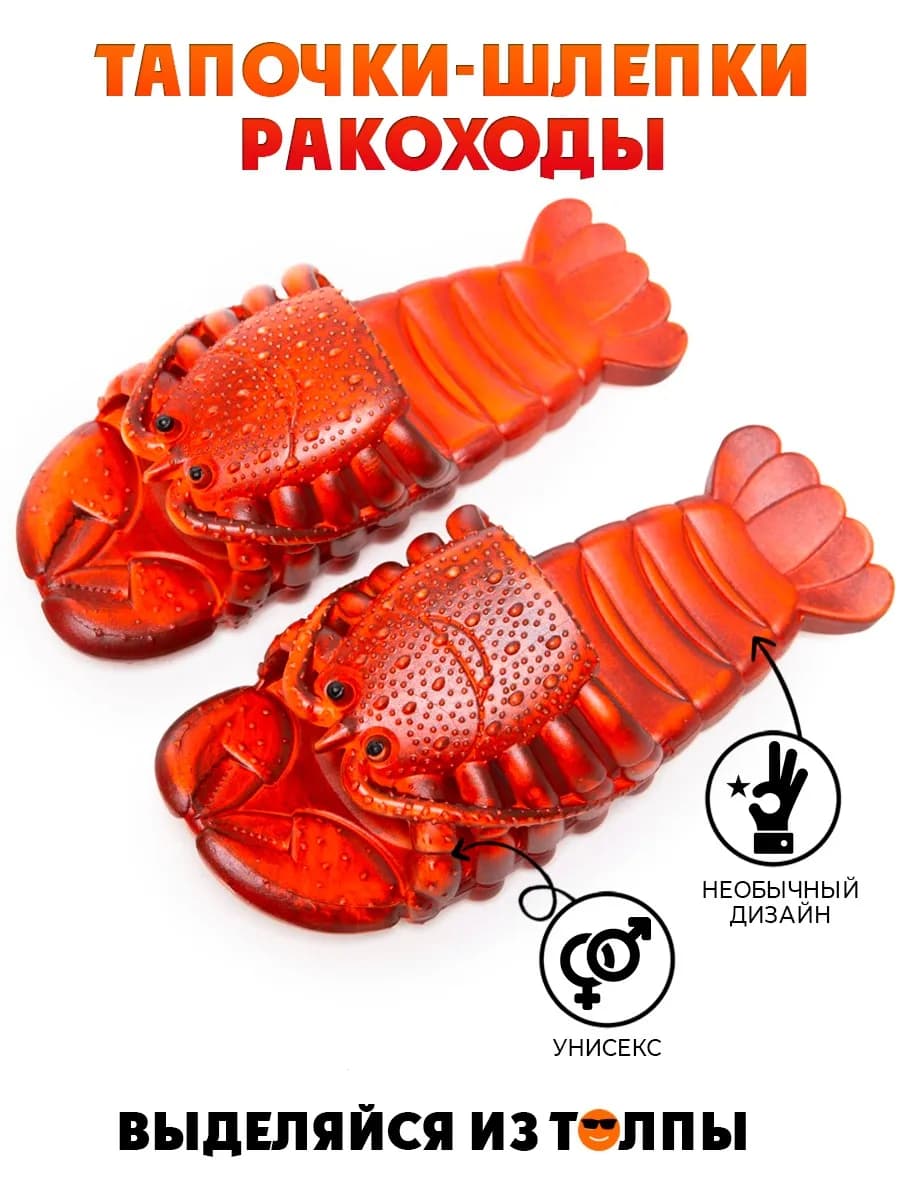 Шлепанцы тапки Ракоходы
