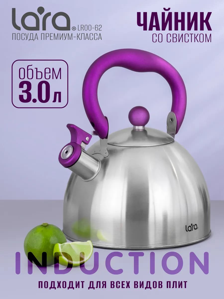 Чайник для плиты со свистком 3 л LR00-62