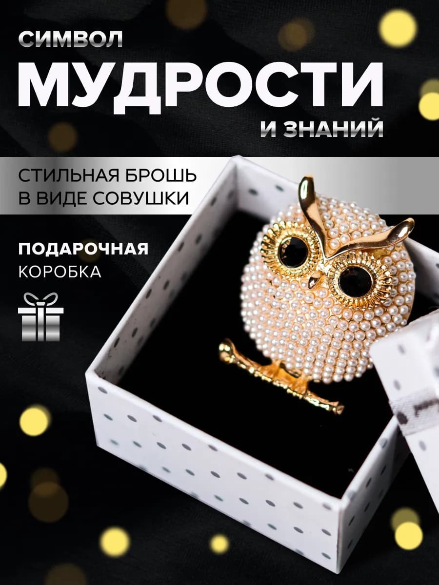 Брошь сова подарок на день учителя