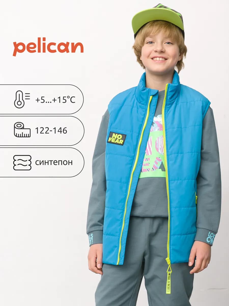 Жилет утепленный для мальчика демисезонный безрукавка