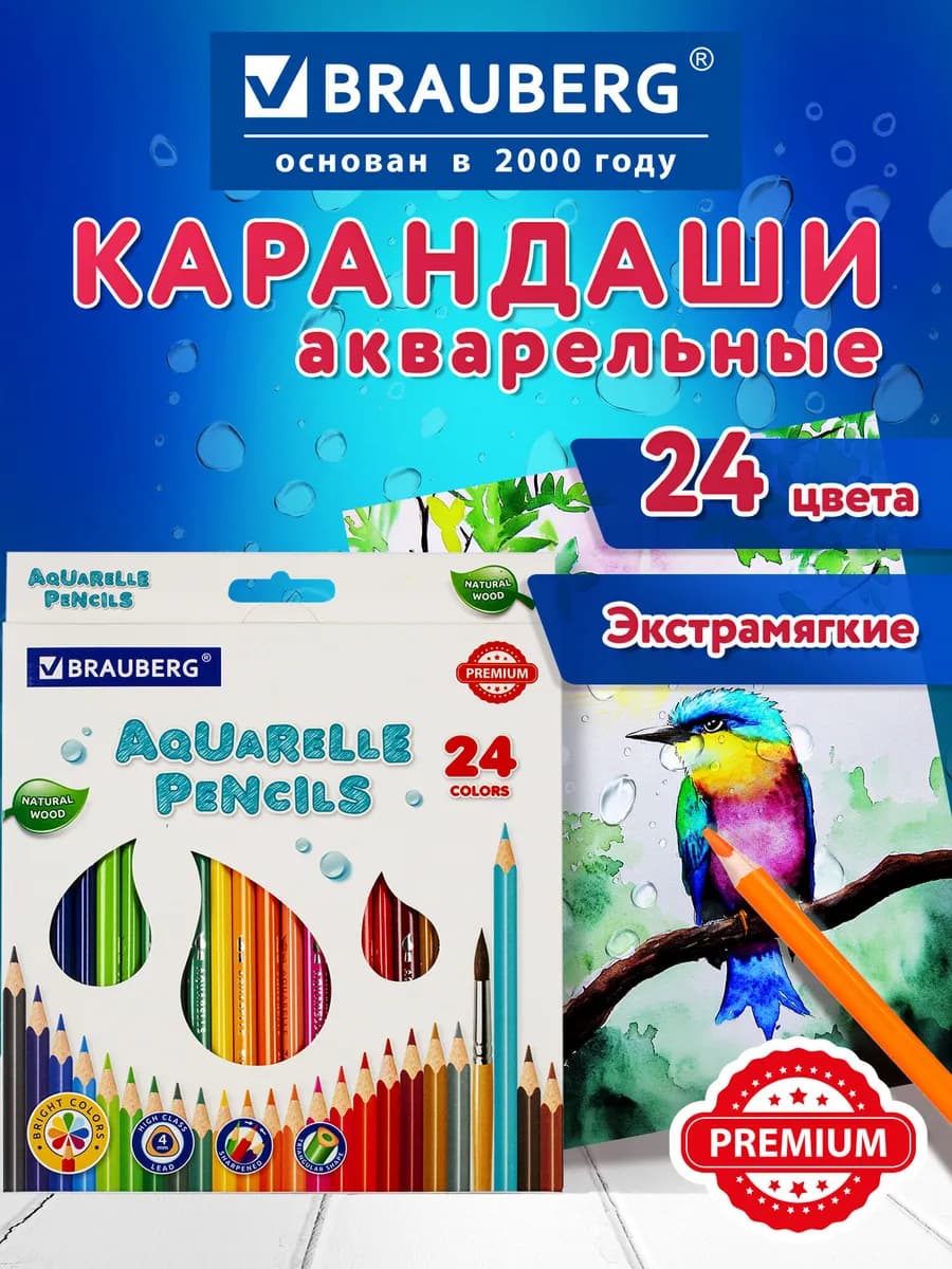Карандаши акварельные цветные, детские, мягкие, 24 цвета