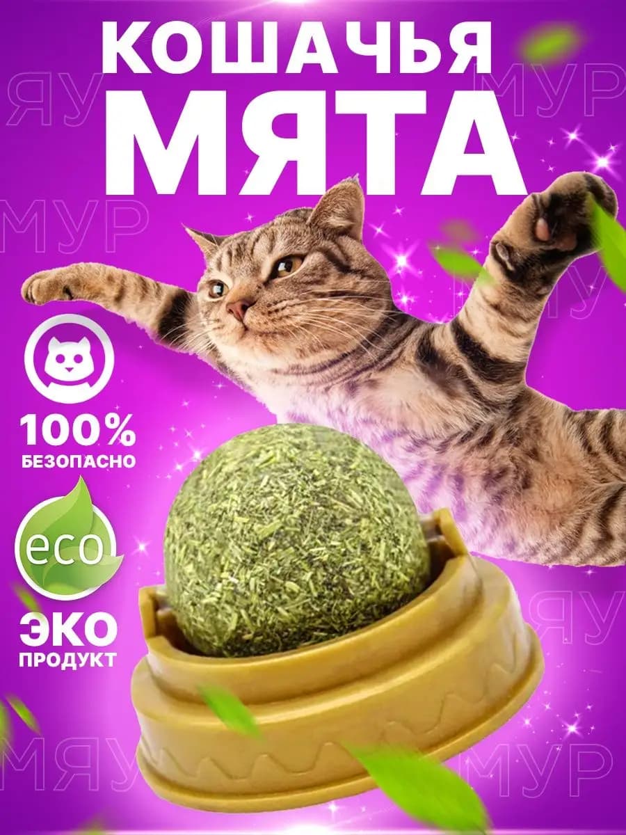 Кошачья мята
