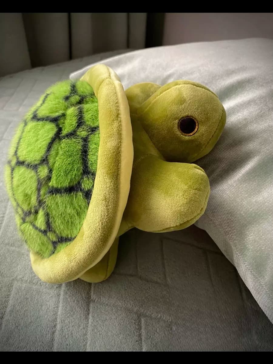 Мягкая игрушка "Черепашка" 23 см, плюшевая зеленая черепаха