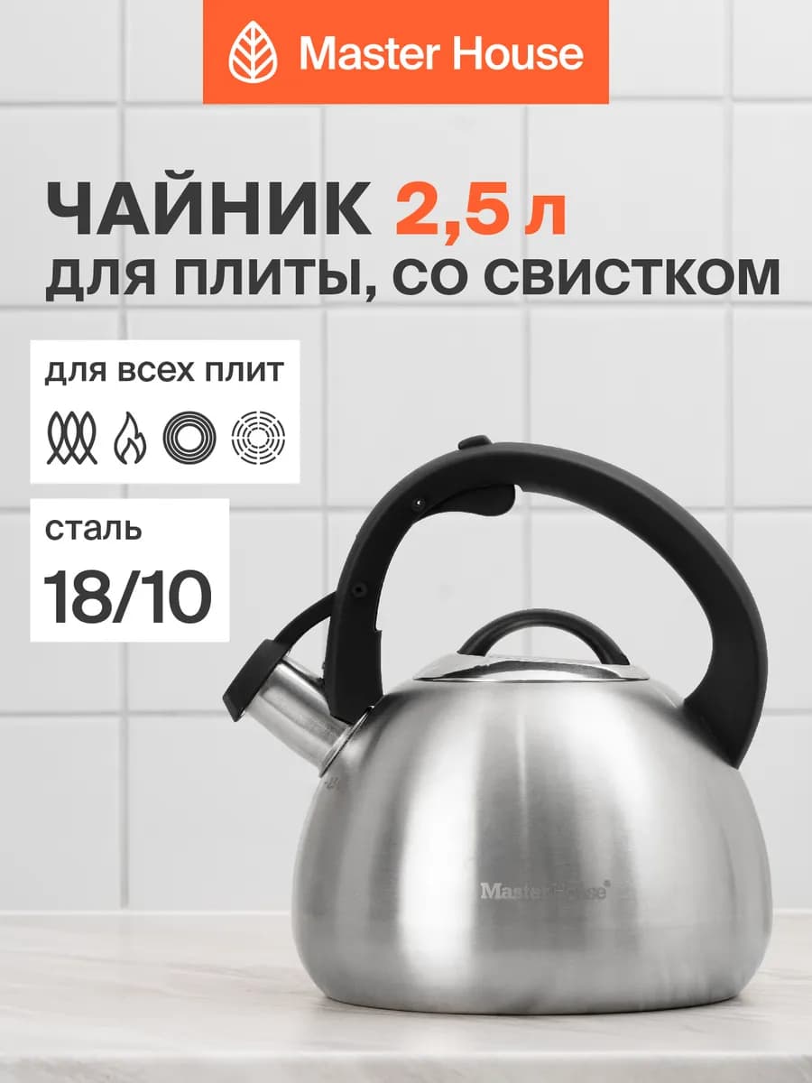 Чайник со свистком для плиты Tommaso 2,5 л - фото 1