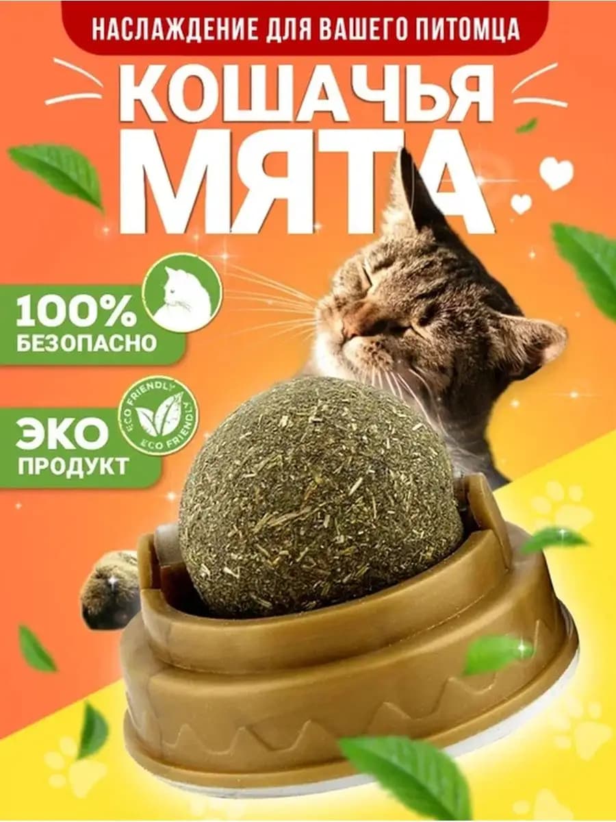 Кошачья мята