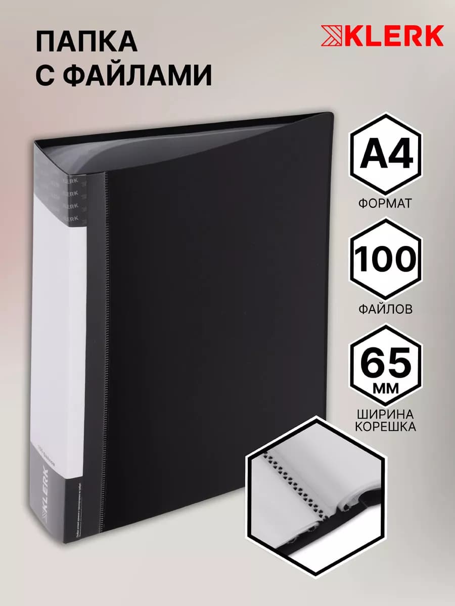 Папка с файлами А4 100 л