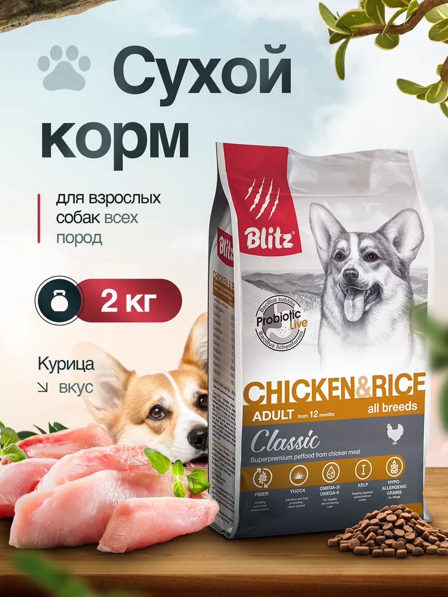 Корм для собак сухой 2 кг с курицей и рисом