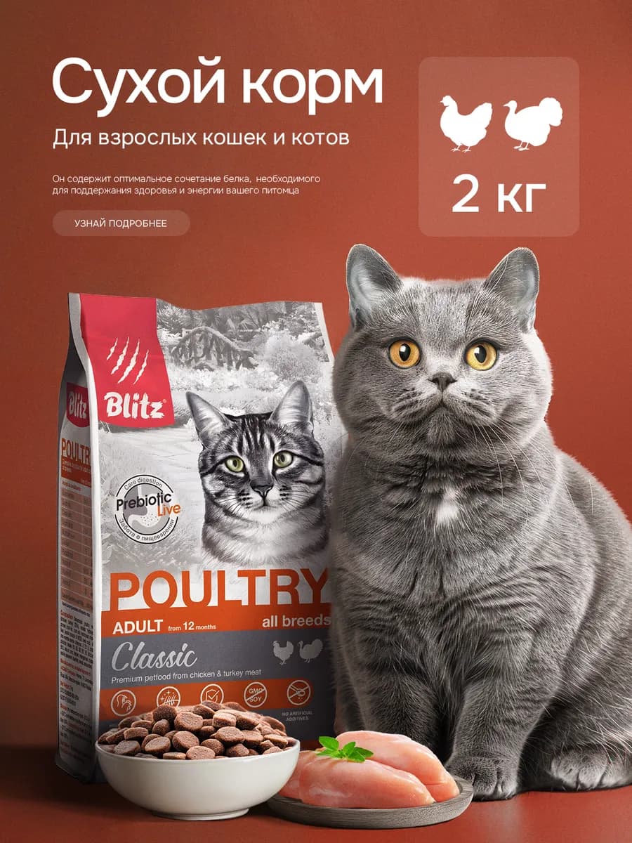 Корм для кошек сухой 2 кг Курица и Индейка