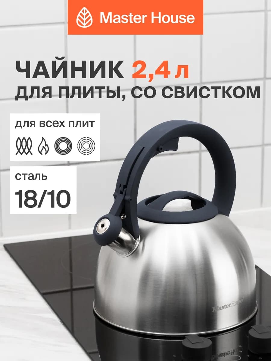 Чайник со свистком для плиты 2,4
