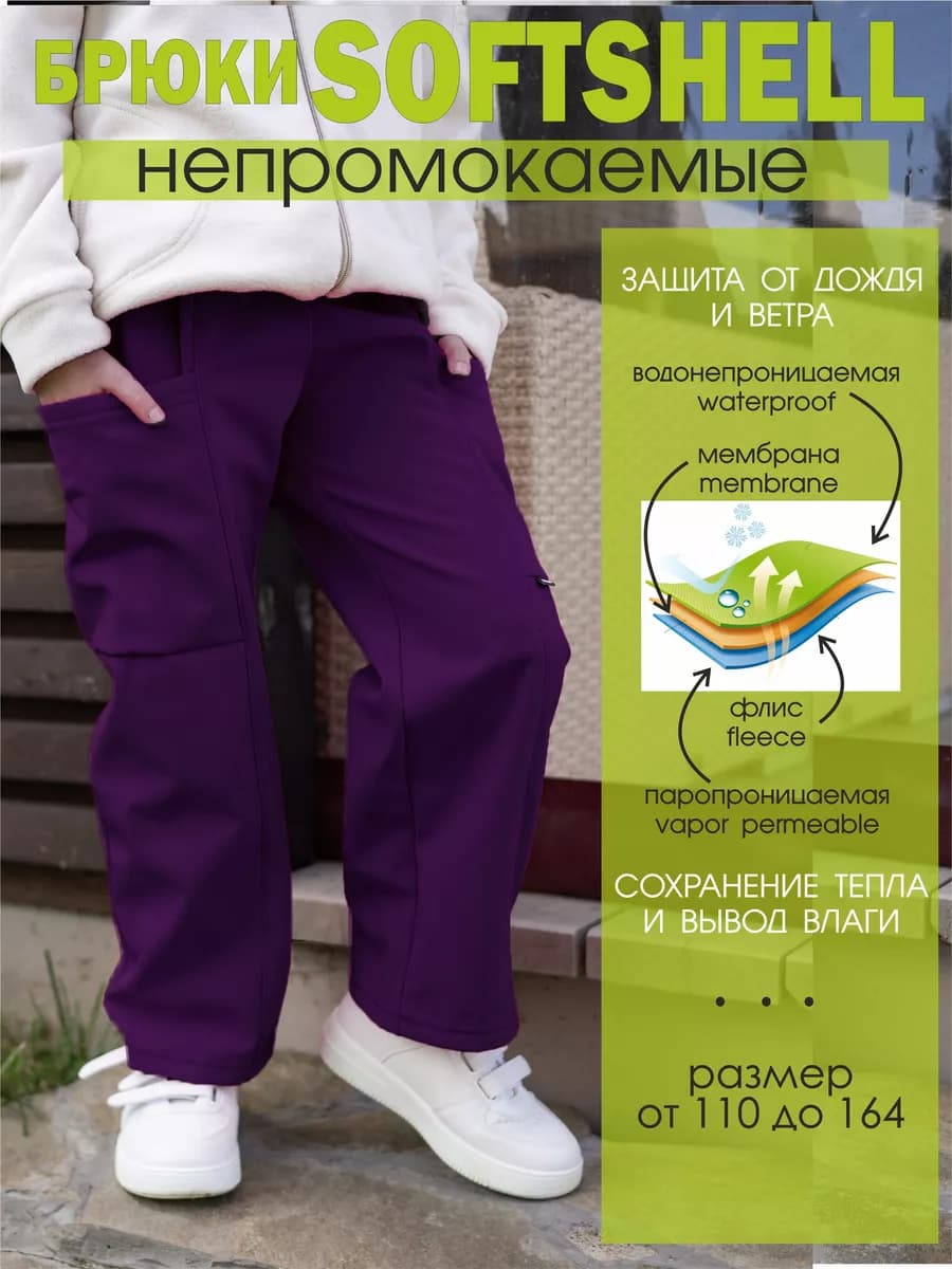 Спортивные брюки софтшелл утепленные демисезонные