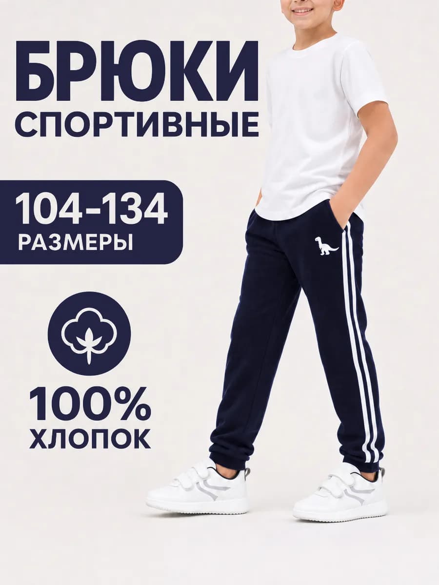 Брюки джоггеры спортивные "Дино"
