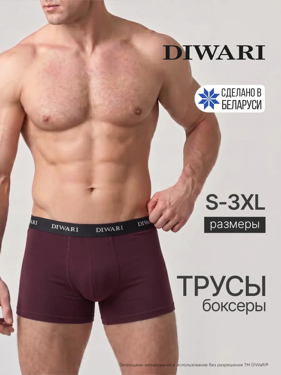 Трусы боксеры BASIC MSH 2147