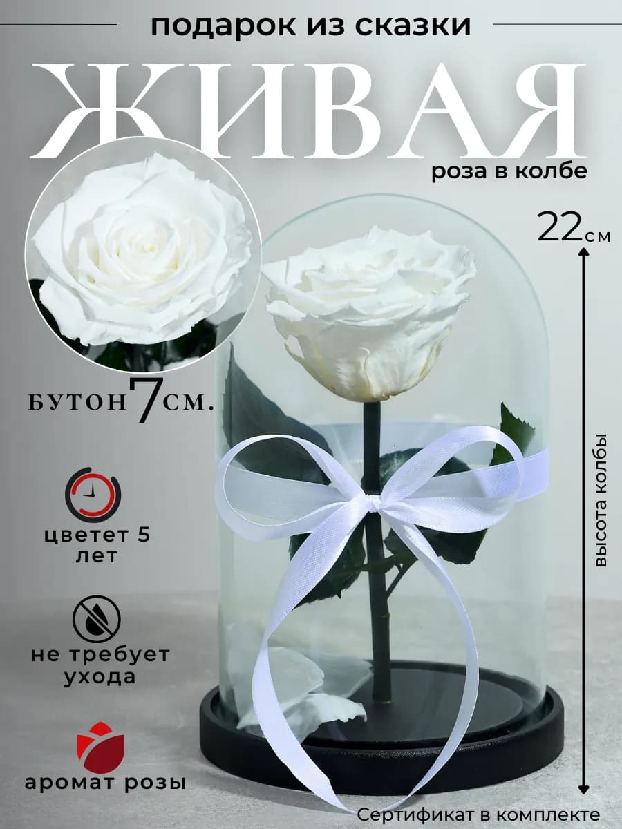 Живая роза в колбе подарок женщине на день рождения