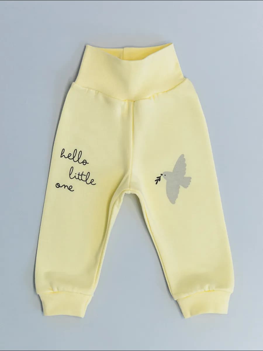 Брюки для новорожденных из футера с начесом