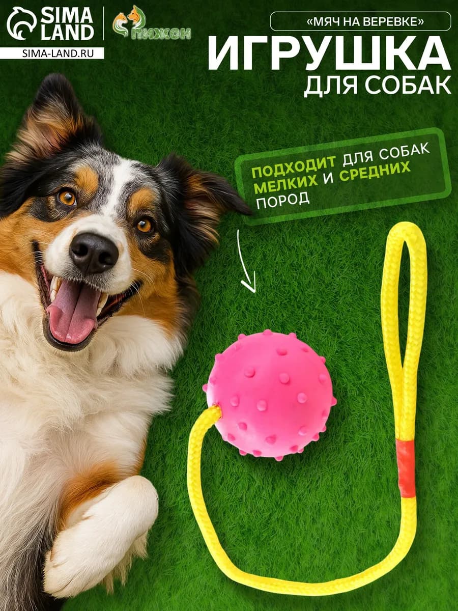 Игрушка мяч на веревке