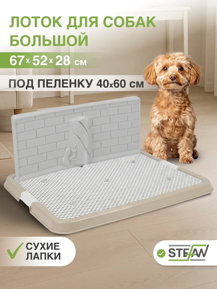 Туалет лоток для собак со стенкой под пеленку большой