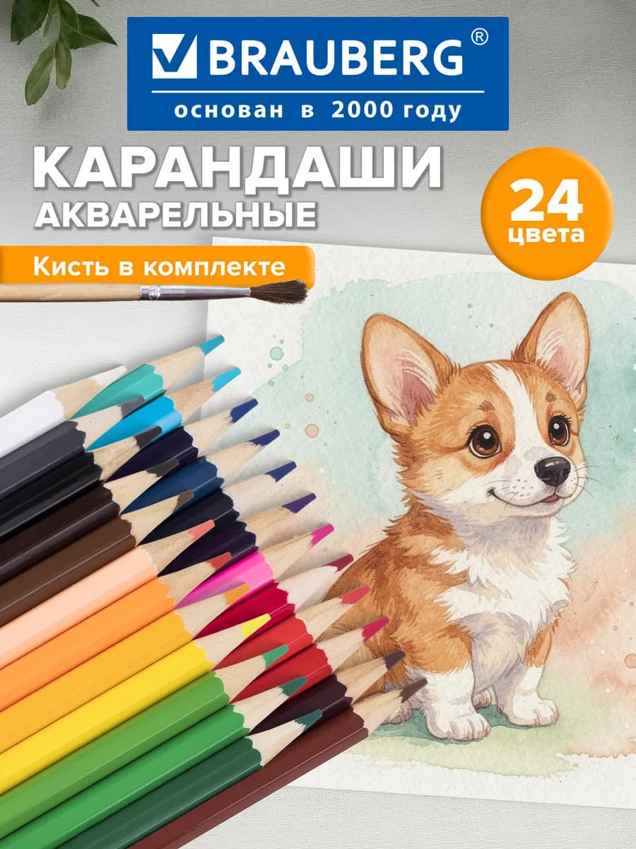 Карандаши цветные для рисования акварельные мягкие 24 цвета