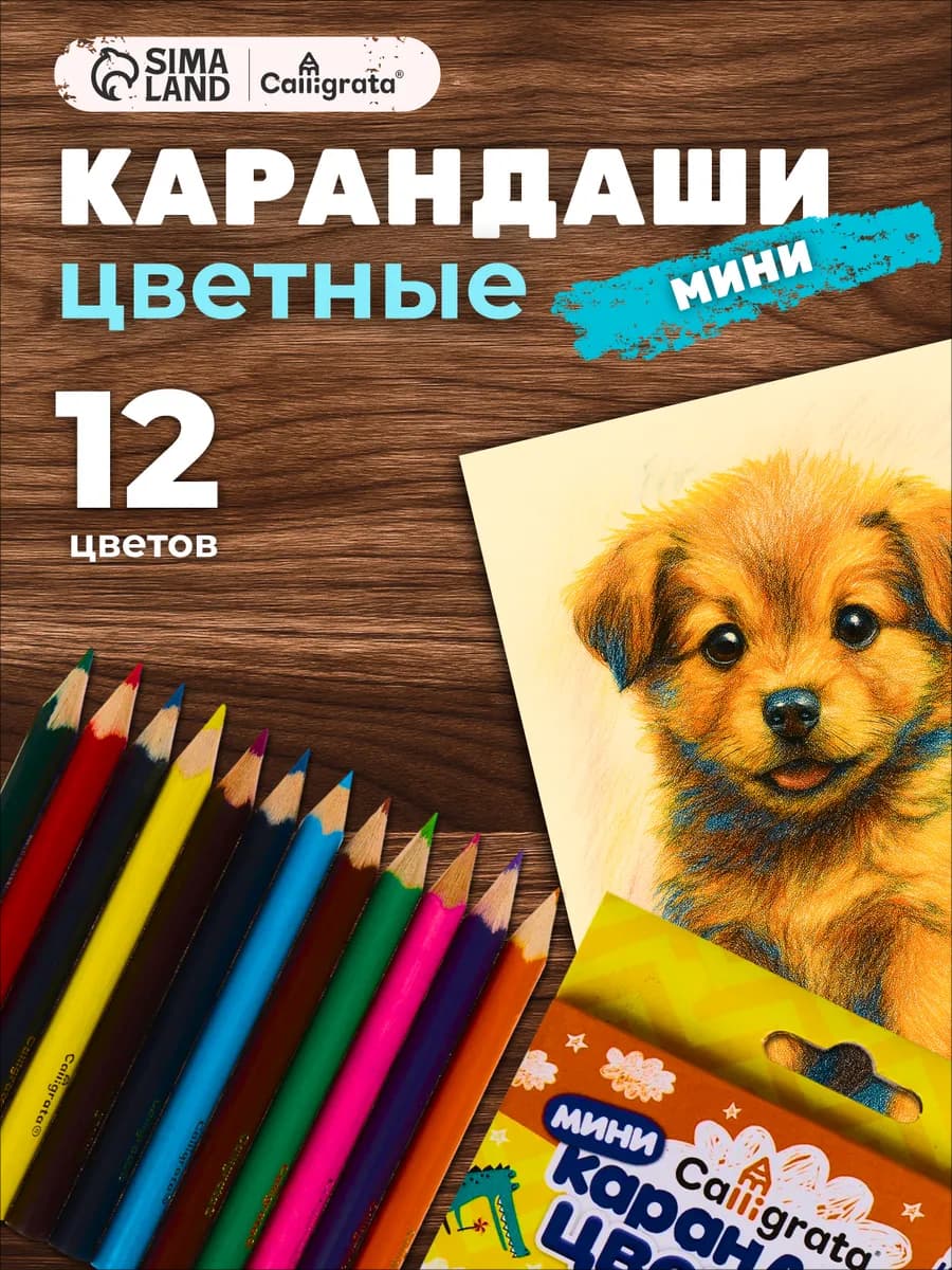 Карандаши цветные 12 цветов мини