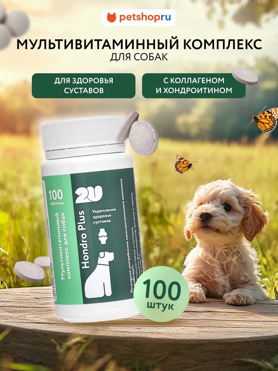 Мультивитаминный комплекс для собак здоровье суставов, 100шт