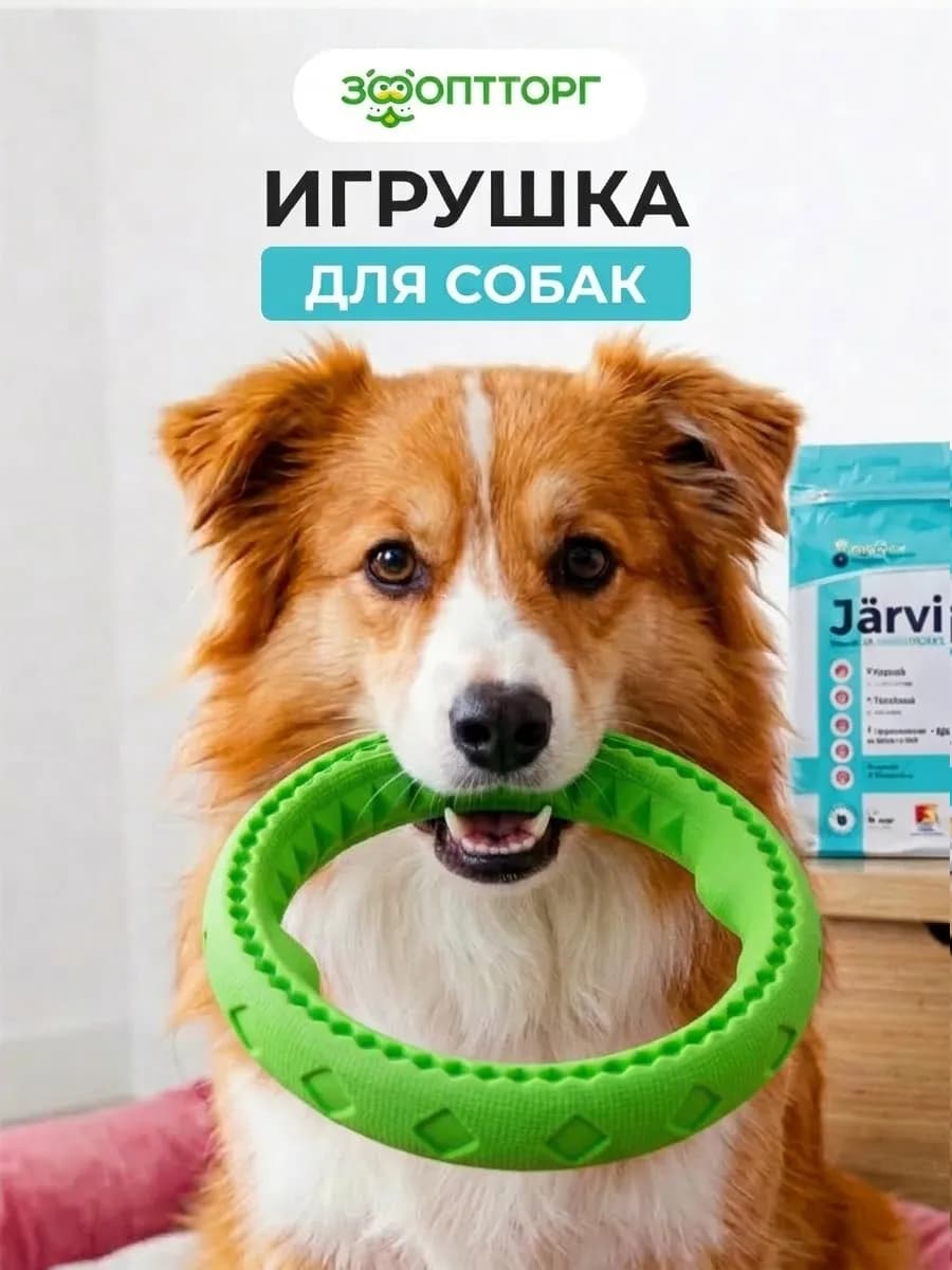Игрушка для средних и крупных собак кольцо 17 см