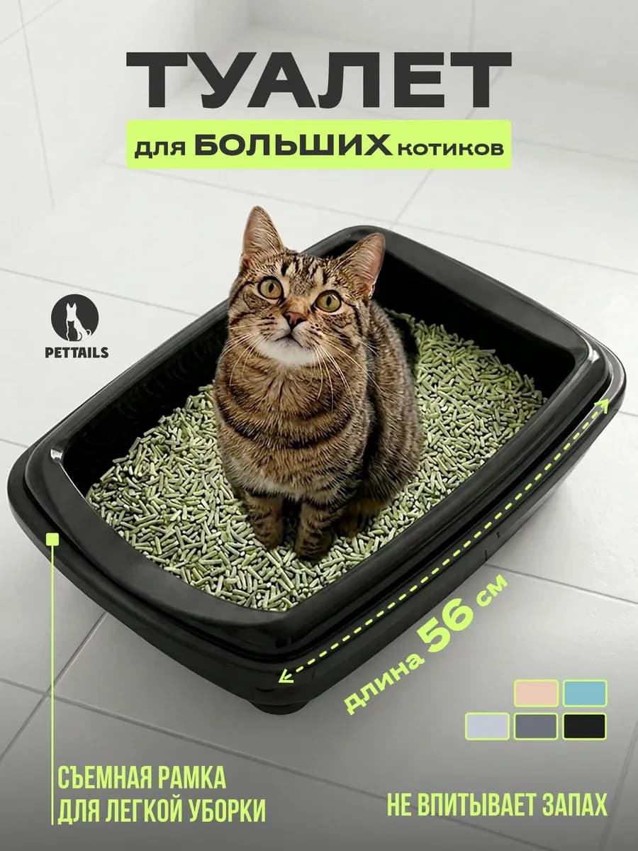 Туалет для кошек, лоток для кошек большой с бортами высокими