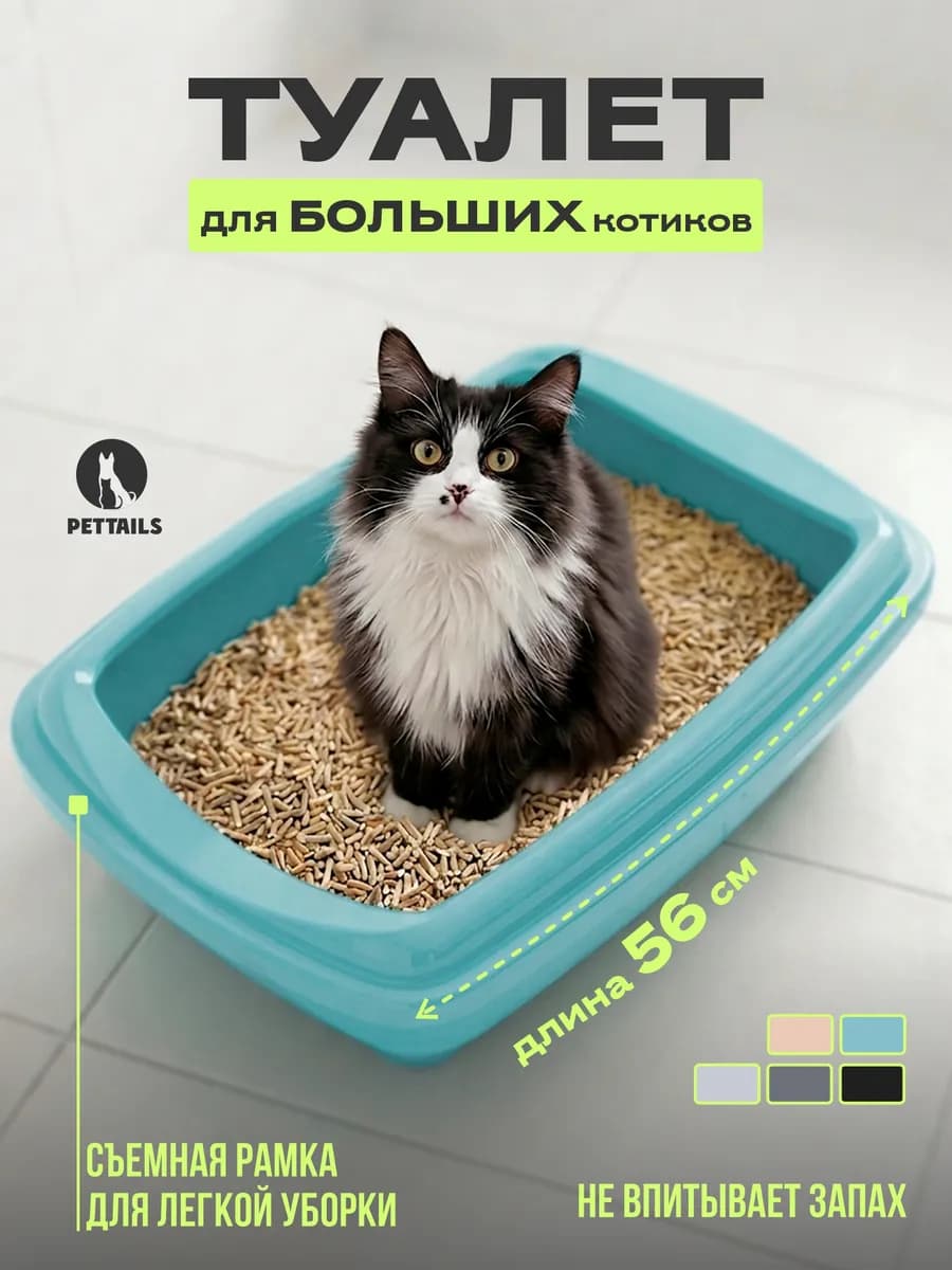 Туалет для кошек, лоток для кошек большой с бортами высокими