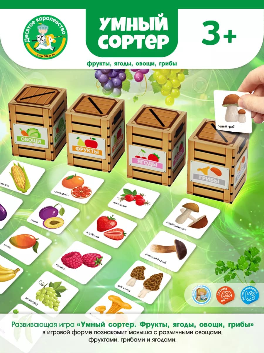 Настольная игра умный сортер "Фрукты, ягоды, овощи, грибы" - фото 1