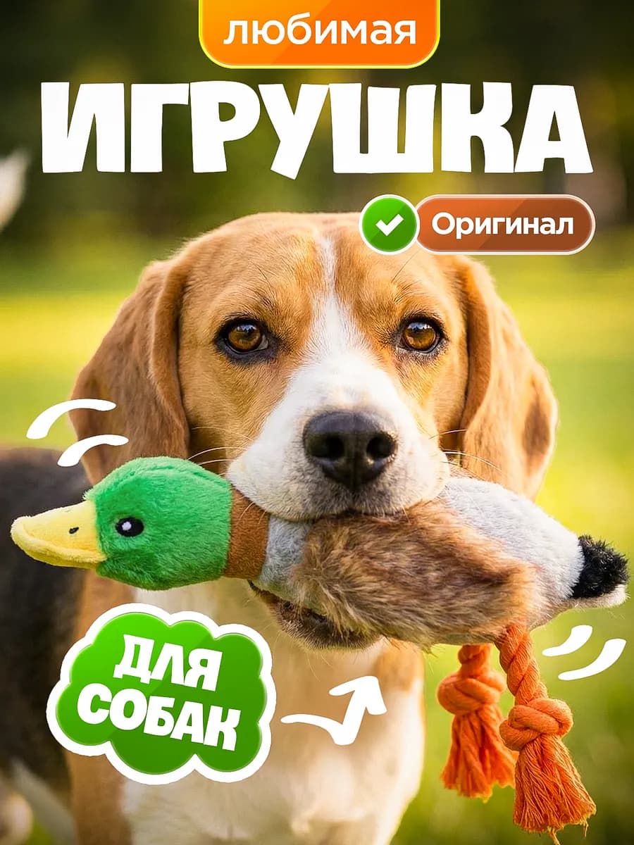 Игрушка для собак мелких и крупных пород