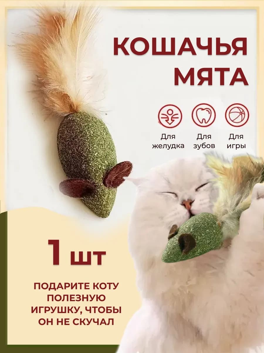 Кошачья мята мышка