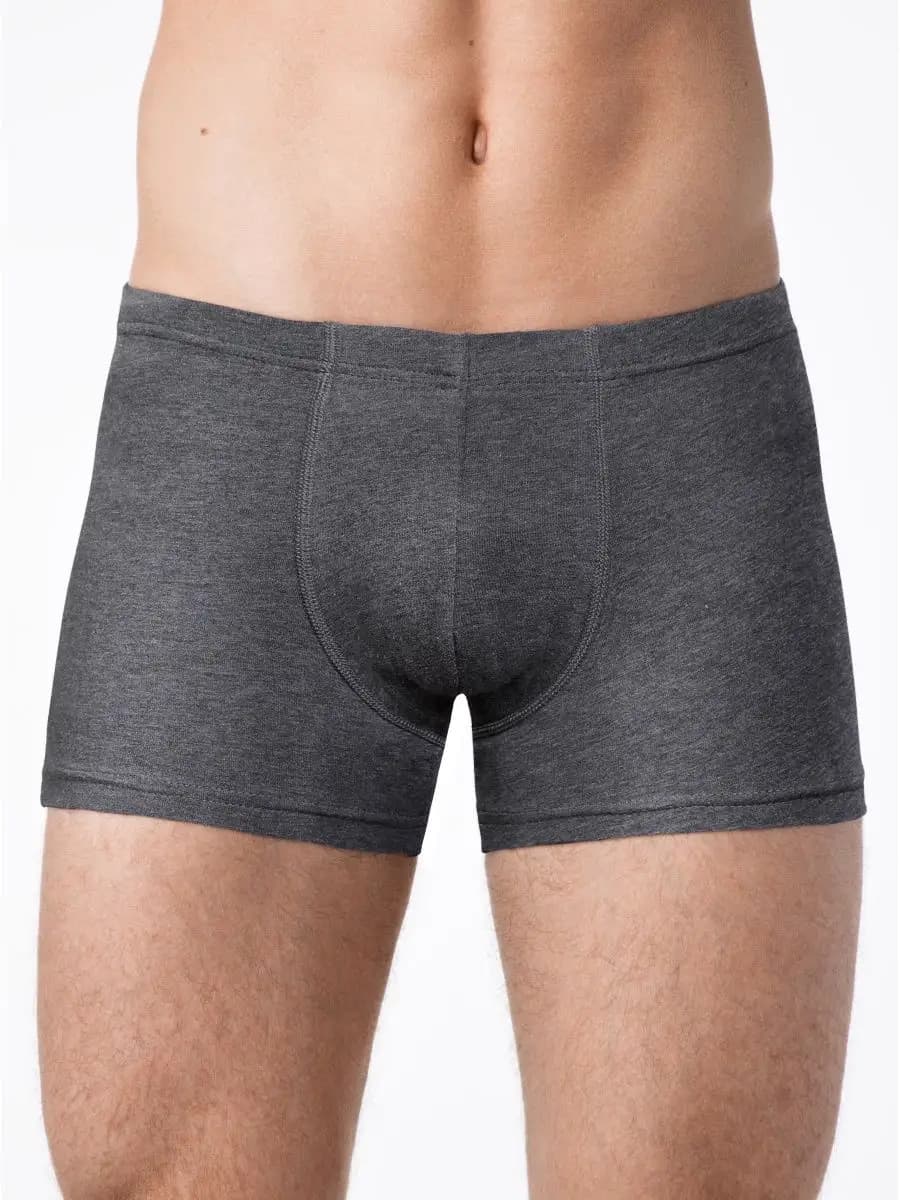 Трусы шорты боксеры хлопок ALFA BOXER BRIEFS