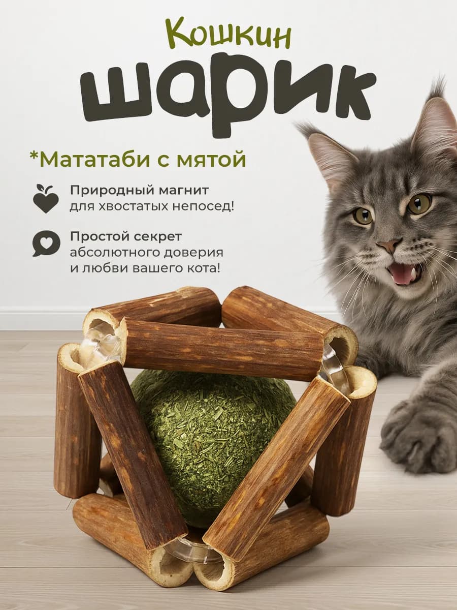 Игрушка для кошек мататаби с мятой 2в1