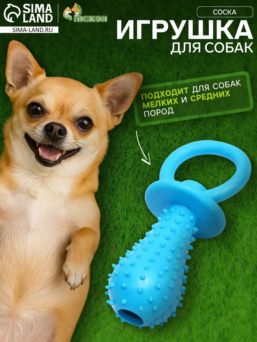 Игрушка жевательная для собак Соска, TPR, 10 х 3 см