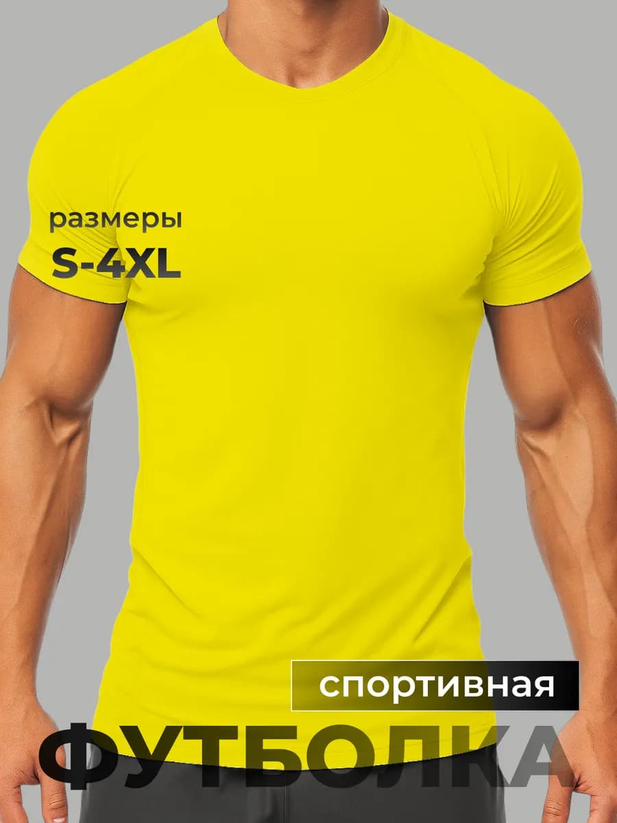Футболка спортивная для тренировки Бахрен