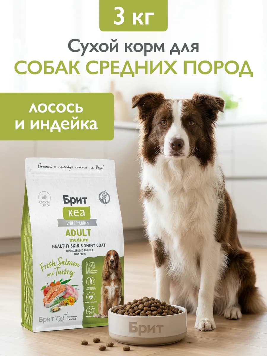 Корм для собак сухой, здоровая кожа и шерсть, 3 кг