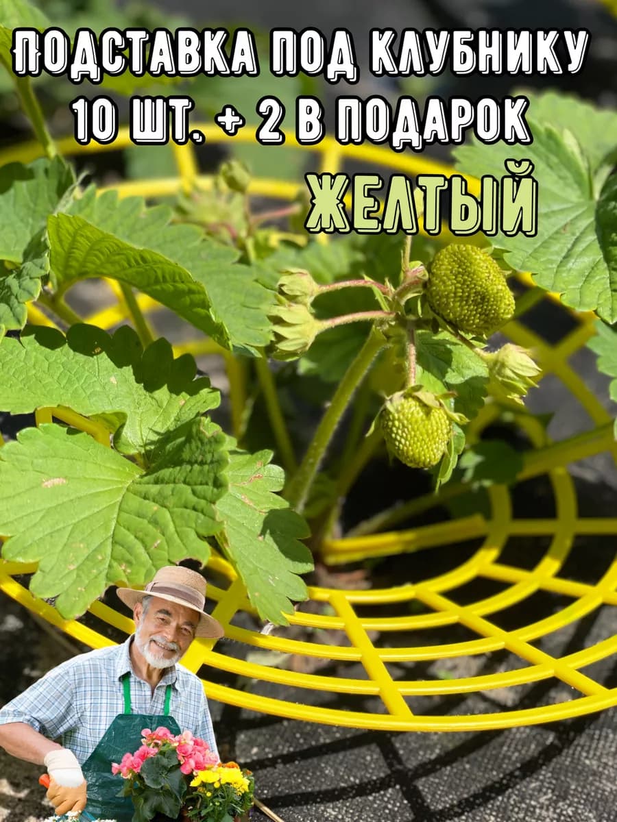 Подставка опора под клубнику