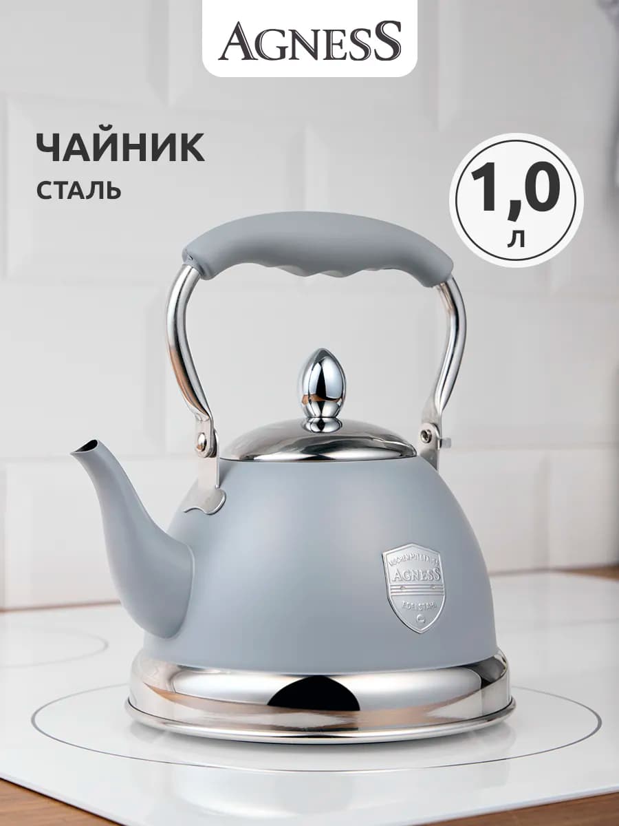 Чайник "Тюдор" 1 л для плиты из нержавеющей стали