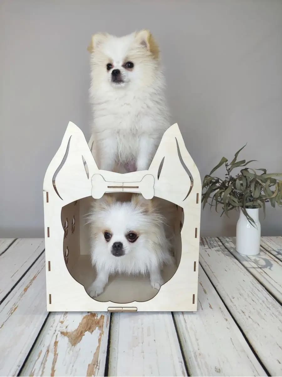 Домик для животных собаки