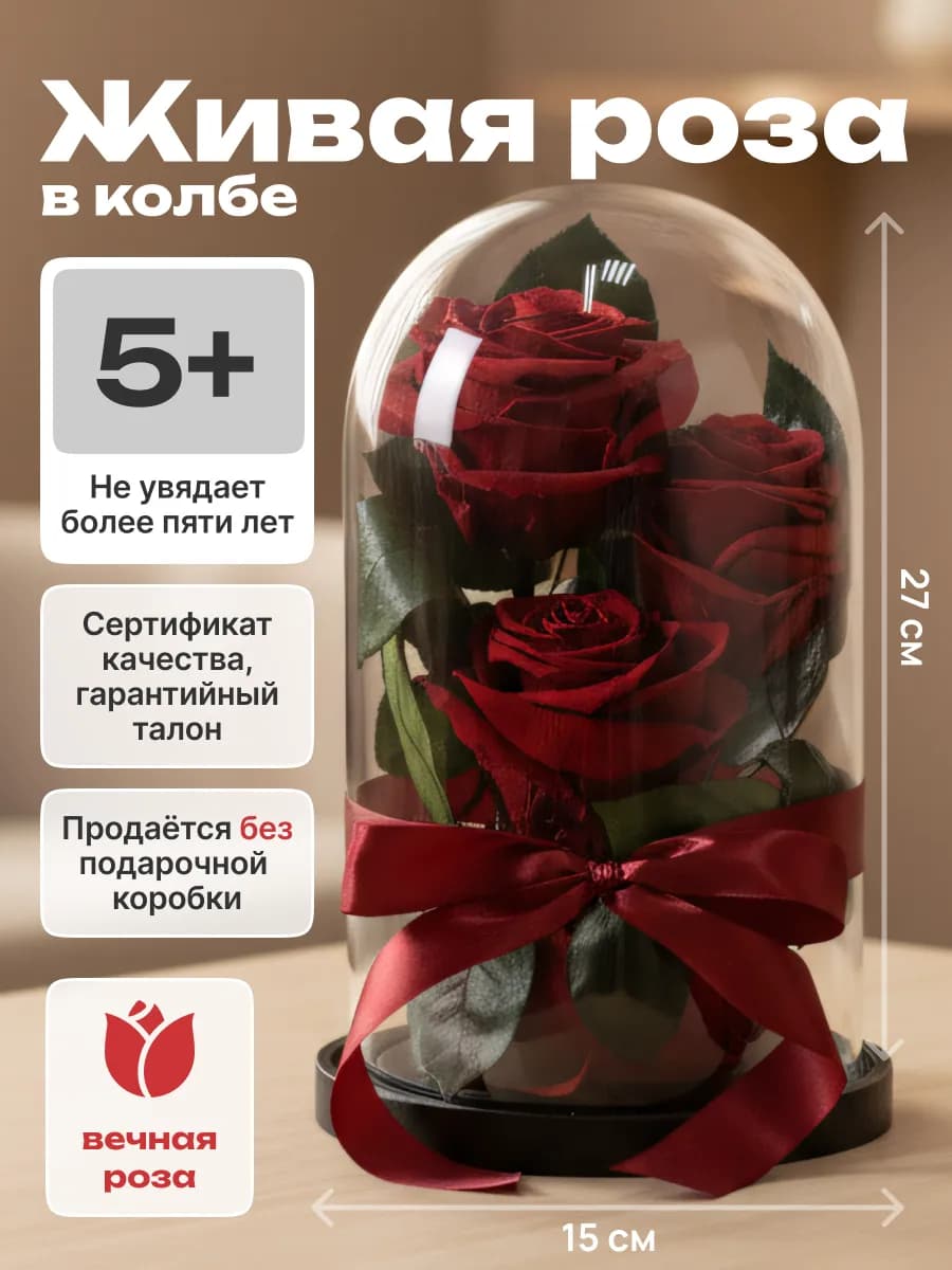 Вечная живая Роза в колбе стабилизированная